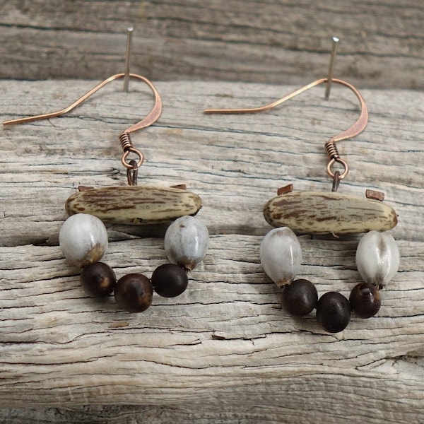 Boucles d'oreilles naturelles en graines