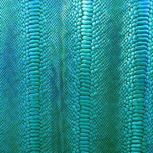 Holographic Ombre Snake Skin Print on Nylon Spandex Fabric (Turquoise/Black) | (4 Way Stretch/Per Yard)