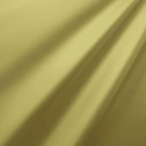 Può includere: Un tessuto liscio, tinta unita, verde chiaro con un leggero luccichio. Il tessuto è piegato e drappeggiato, creando pieghe e ombre morbide.