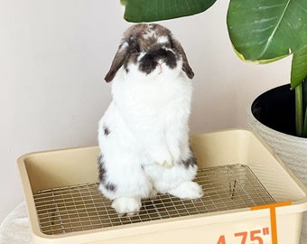 Scatterless Litter Box With Grids Wood Hay Feeder Food Stand in