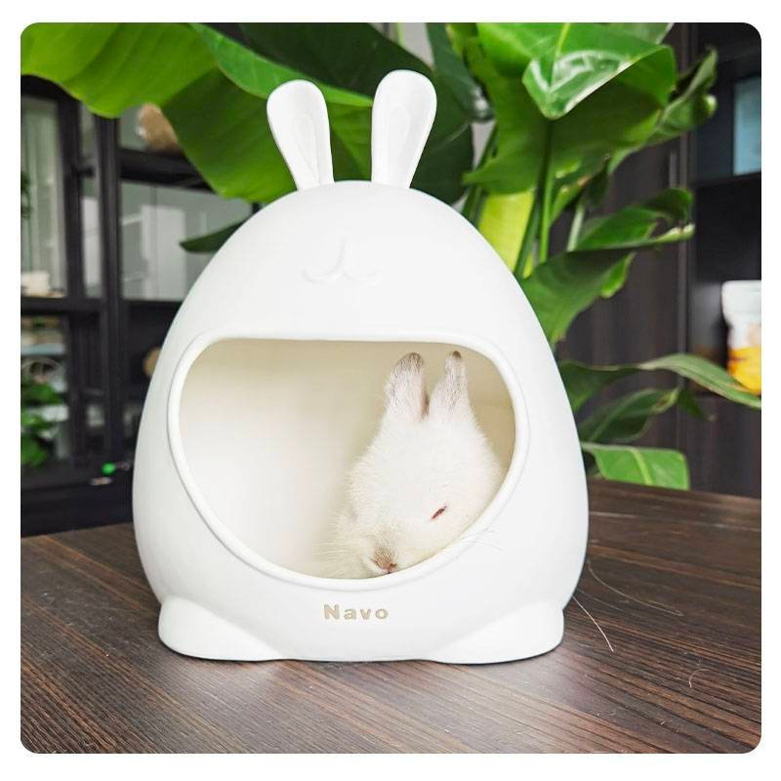 Ceramic Cooling Chinchilla Hideout Dust Bath House Hay Feeder Etsy
