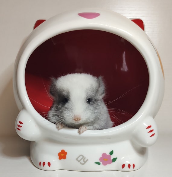Ceramic Cool Chinchilla Hideout Dust Bath House Hay Feeder Etsy