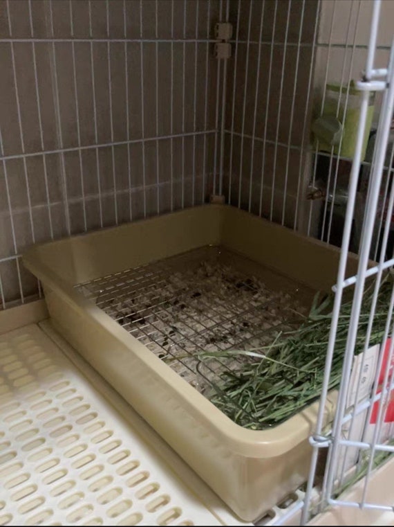 Scatterless Litter Box With Grids Wood Hay Feeder Food Stand 3 in 1 for Rabbit Bunny Etsy