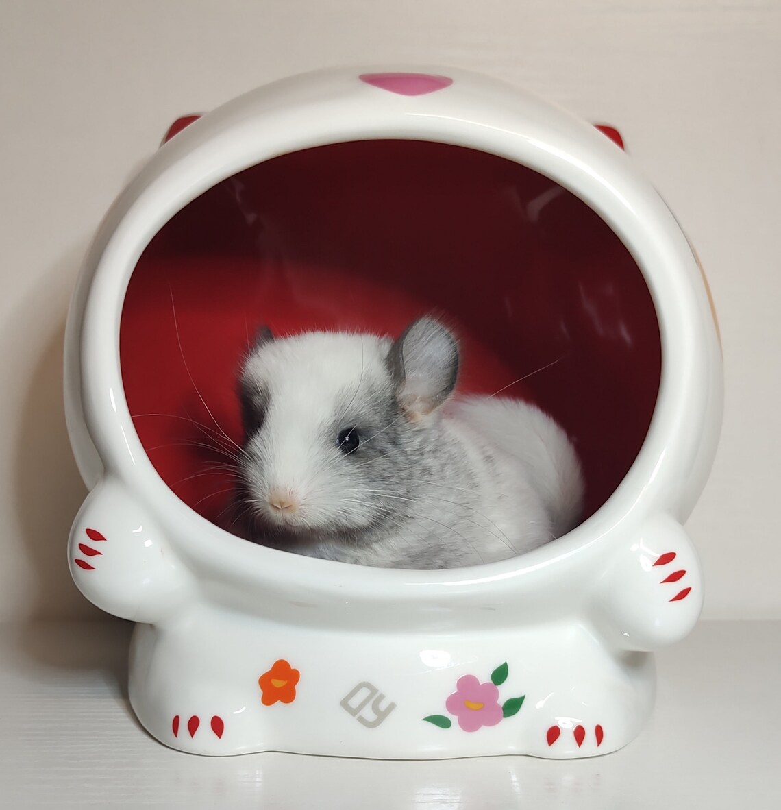 FREE SHIPPING over 100 Ceramic Cool Chinchilla Hideout Dust Etsy
