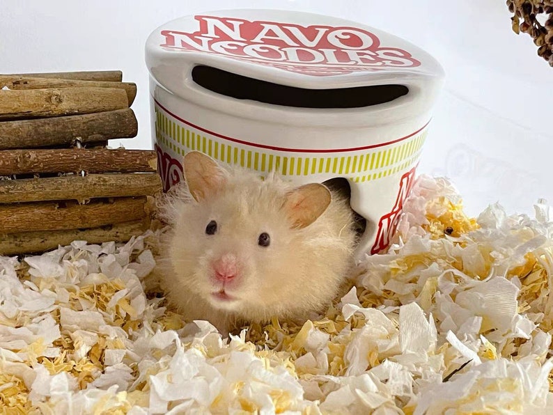 Ceramic Cooling Hamster Hideout Dust Bath House Hay Rack Food Etsy