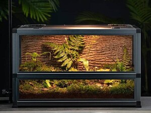 Terrarium Portable Pour Reptiles - Boîte D'observation 23x19.5x13.5 Cm - Pour Tortues, Escargots, Vers à Soie - Transparent Et Respirant