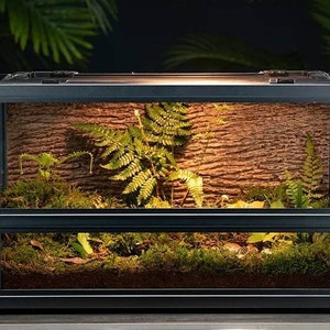 Reptile Glass Tank Terrarium Cage with Refined Aluminum Alloy Frame for turtle snake lizard gecko small pet