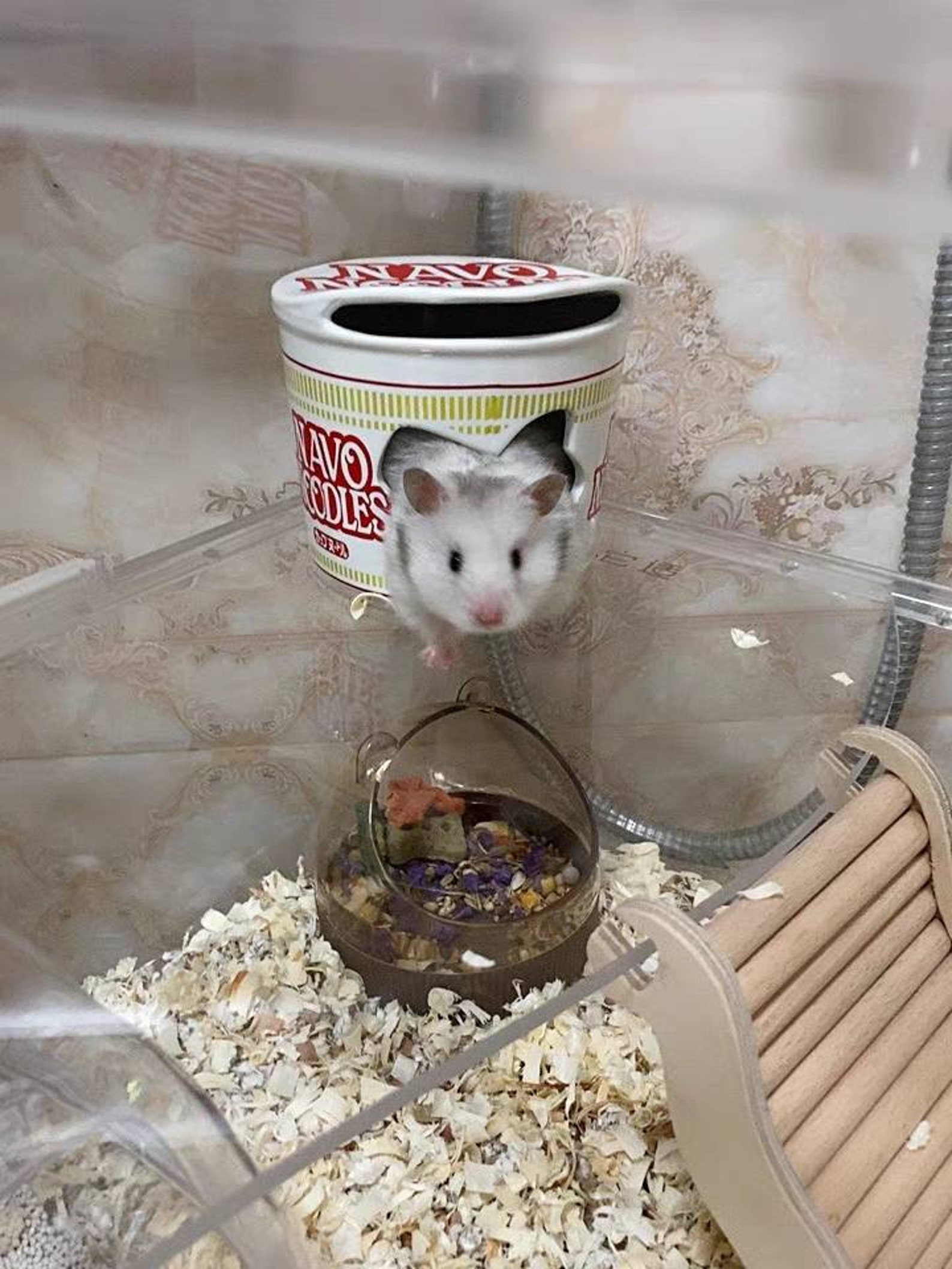 Ceramic Cool Hamster Hideout Dust Bath House Hay Rack Food Etsy