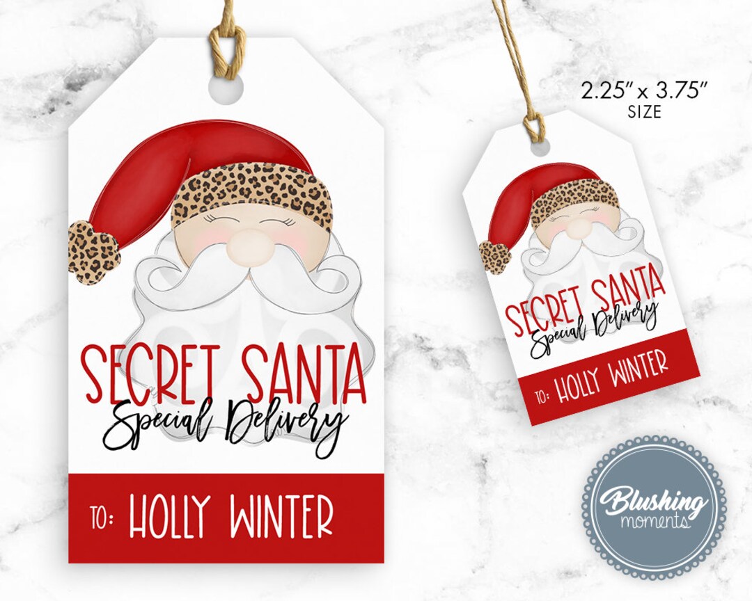 DIGITAL PRINTABLE Secret Santa Funny Gift Tags Set of 24 for 