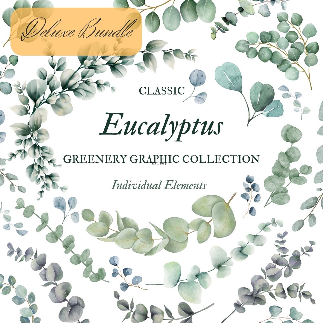 Deluxe Bundle Watercolor Eucalyptus Clipart Baby Blue Eucalyptus ...