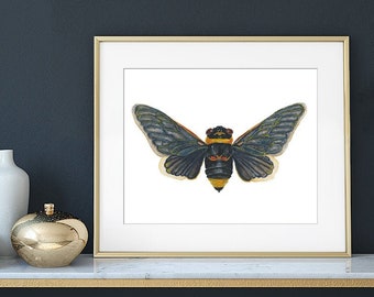 Cicada Giclée Print of Watercolor painting (insect, bug, entomology, nature art, bug art, insect art, cicadas, insect print, entomology art)