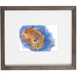 Cuttlefish Giclée print of watercolor painting cephalopod, cuttlefish wall art, sea creature, marine art, ocean art, underwater, sea life image 5