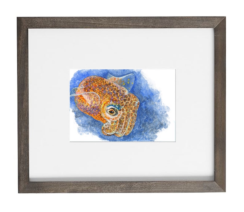 Cuttlefish Giclée print of watercolor painting cephalopod, cuttlefish wall art, sea creature, marine art, ocean art, underwater, sea life image 5