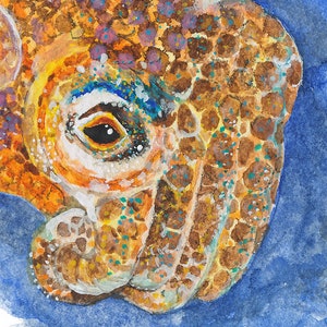 Cuttlefish Giclée print of watercolor painting cephalopod, cuttlefish wall art, sea creature, marine art, ocean art, underwater, sea life image 4