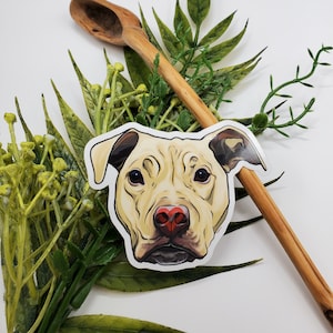 autocollant pitbull | Race Bully | Nez rouge | Adoptez Ne pas acheter | Sticker | Sticker pour ordinateur portable