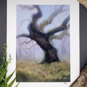 The Ancient One | Oil Painting Tree | Fine Art print |