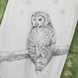 Dessin original au graphite ACEO | Esprit du hibou | Oiseau | Carte à collectionner d'artiste