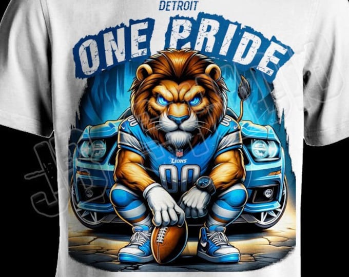 Detroit Lions One Pride Shirt, Detroit Clothing, Cute Detroit Gift, Gift For Her, Him 2024 Unisex Youth Women's Fit US Free Shipping
