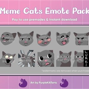 Emote Pack- Meme Cats- Premade for Twitch and Discord Download Digital Files