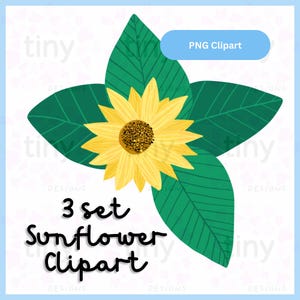 Hand Drawn Sunflower Clipart – 3 PNG Files – High Quality Summer Floral Illustration – Sunflower Clip Art, Summertime PNG