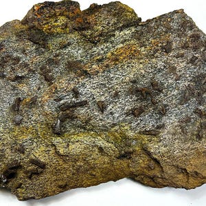 Staurolite, Garnet, Mica Schist from Black Hills, South Dakota