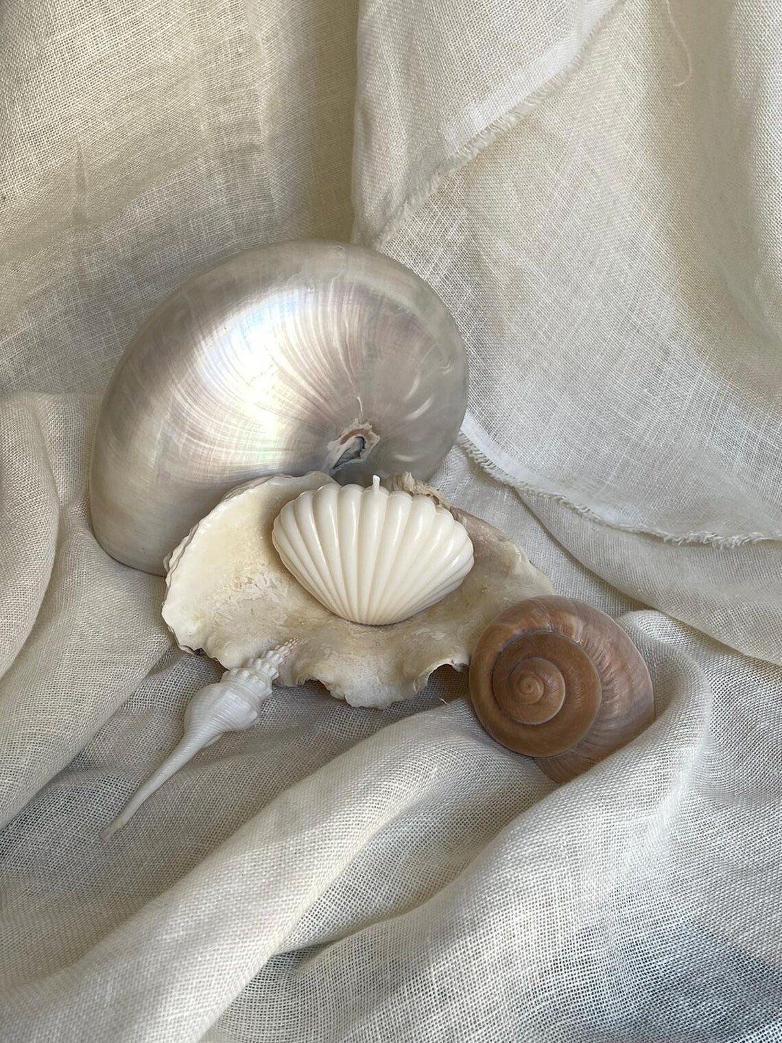 Sea Shell Shaped Candle Bougie Coquillage Etsy