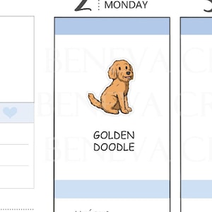 Golden Doodle Stickers- Golden Doodle- Pet Stickers- Personalized Pet Stickers- Custom Stickers-Dog Stickers- Custom Dog Stickers- (PT-002)
