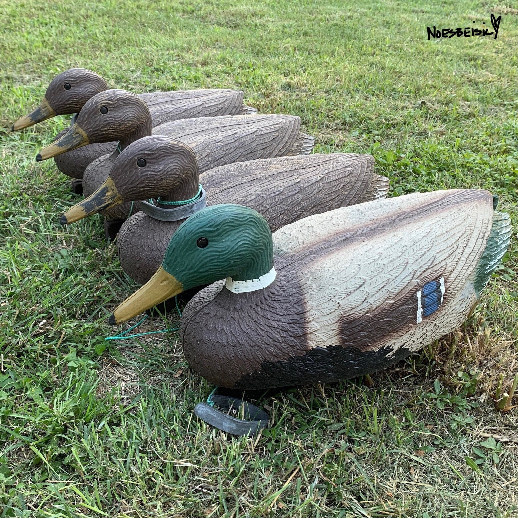 Vintage Flambeau Decoy Ducks Etsy