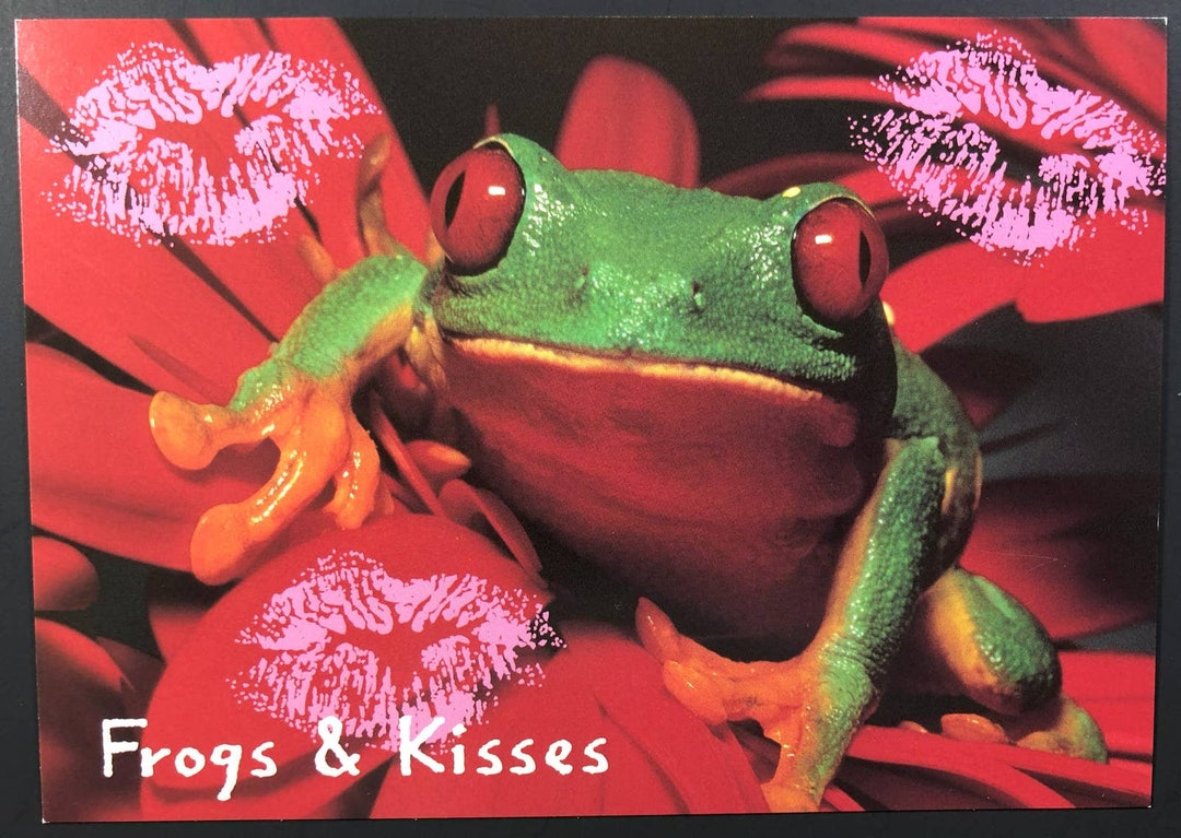 Red Eyed Tree Frog Postcard Frogs & Kisses Postcard Etsy