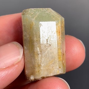 FLOATER Chlorapatite with Magnetite • Dashkesan, Azerbaijan