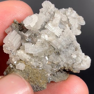 May include: A cluster of white, translucent crystals on a gray, rocky base. The crystals are elongated and have a striated surface.