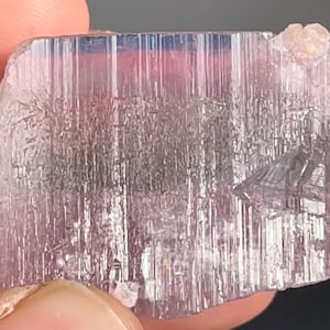 BLUE-capped COTTON CANDY Tourmaline var Elbaite with Lepidolite • Paprok, Afghanistan