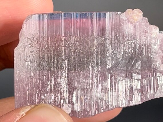 BLUE-capped COTTON CANDY Tourmaline var Elbaite with Lepidolite • Paprok, Afghanistan