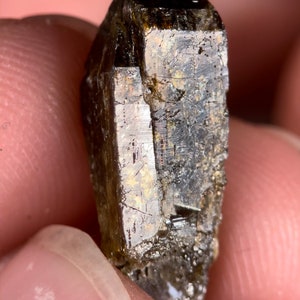 GOLDEN Xenotime with Rutile • Novo Horizonte, Bahia, Brazil