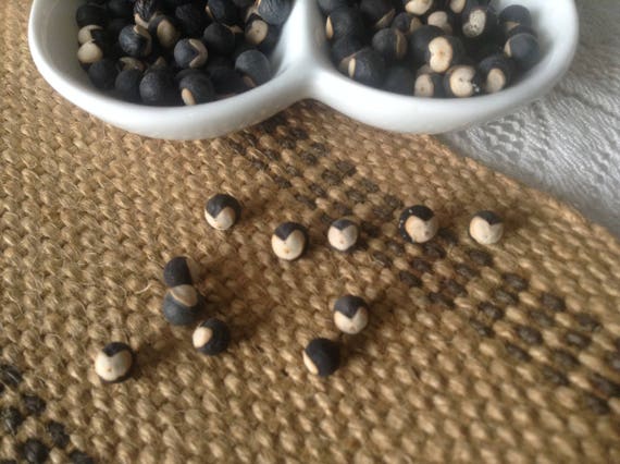 Love Seeds Love In A Puff Cardiospermum Halicacabum Balloon Etsy