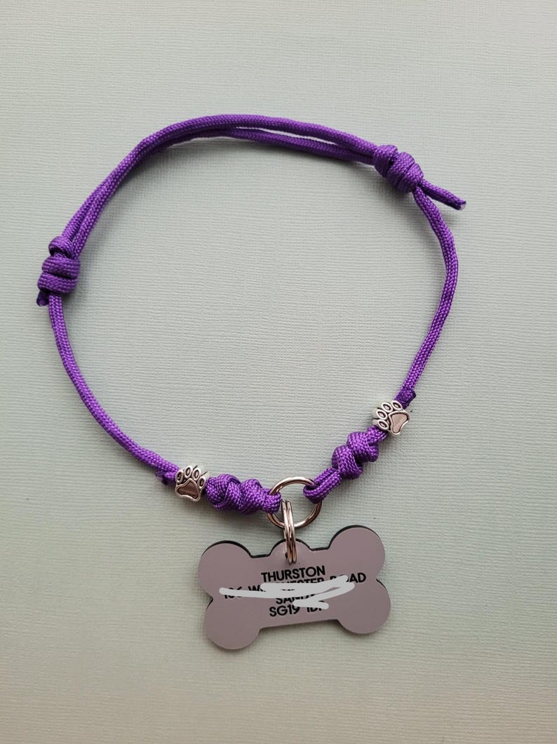May include: A purple dog collar with a bone-shaped tag. The collar is made of braided cord and features paw print charms. The tag has the name "Thurston" and other text.