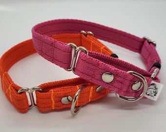 Adjustable Martingale Collar, Soft Cushion Webbing,  Half Check Collar, Dog Training Collar, Hound Collar