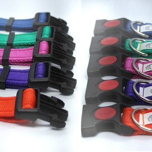 May include: Assortment of colourful dog collars with black buckles and silver D-rings. Each collar has a white label with the text "The Hippy Squirrel".