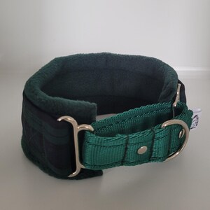 Puede incluir: Un collar para perros de color verde oscuro con un interior acolchado y una correa ajustable. El collar cuenta con una anilla en D de metal plateado y una hebilla para un cierre seguro. Dise&ntilde;ado para mayor comodidad y durabilidad.