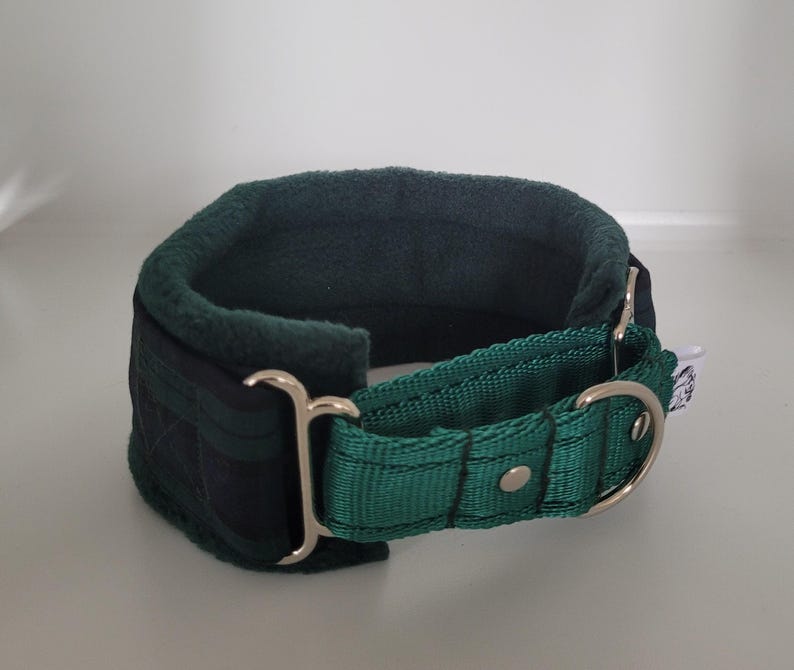 Puede incluir: Un collar para perros de color verde oscuro con un interior acolchado y una correa ajustable. El collar cuenta con una anilla en D de metal plateado y una hebilla para un cierre seguro. Dise&ntilde;ado para mayor comodidad y durabilidad.