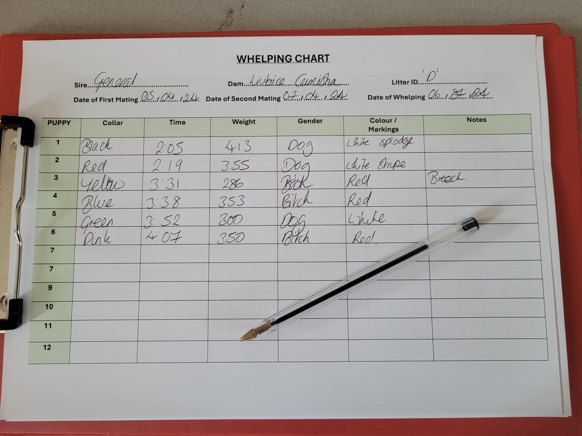 Wheping Chart Puppy Whelping Chart, Breeder Chart, A4 PDF Litter Record, Edit in Word ...