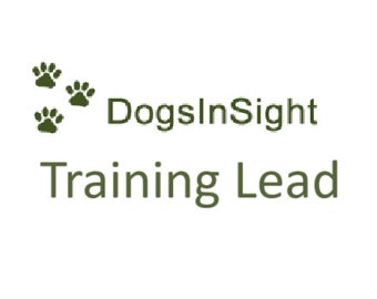May include: Green paw prints and the text "DogsInSight Training Lead" in a green font.