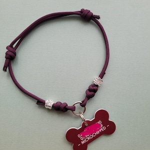 May include: A dark purple dog collar with silver paw print charms and a bone-shaped tag. The tag is dark red and reads "- MICROCHIPPED -" in white text. The collar is made of a woven cord.