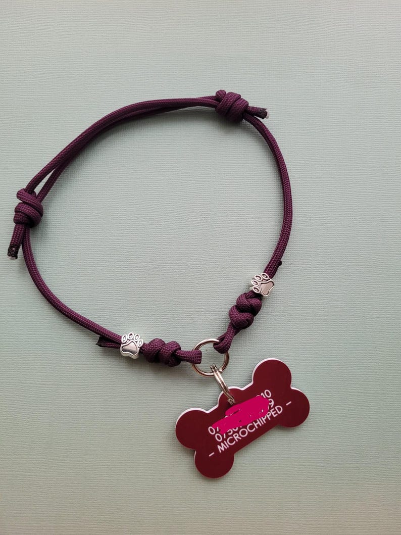 May include: A dark purple dog collar with silver paw print charms and a bone-shaped tag. The tag is dark red and reads "- MICROCHIPPED -" in white text. The collar is made of a woven cord.
