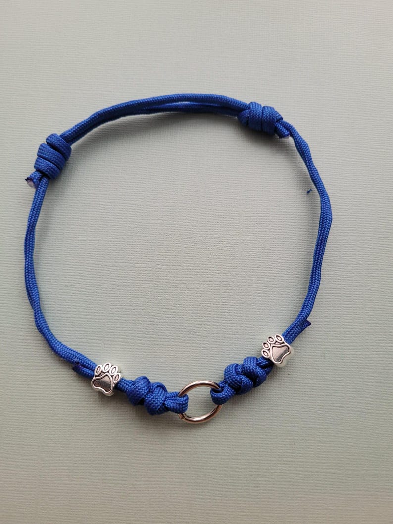 May include: A blue cord bracelet with a silver ring and two silver paw print charms. The bracelet is knotted and designed for pets. The cord is a vibrant blue color, and the charms are detailed.