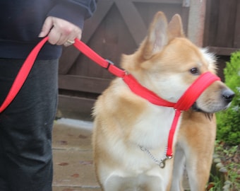 Soft Figure of 8 Lead, fleece lined webbing, Anti-Pull leash, fleece lined Dog  Head collar, Dog Head Halter, Choice of Colours