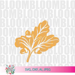 May include: A digital cut file of an oak leaf with acorns. The file is available in SVG, DXF, AI, and JPEG formats.