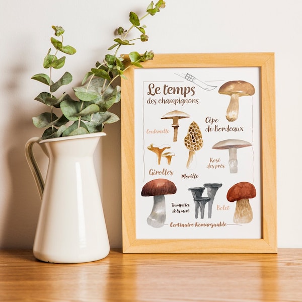 Affiche Champignons 30*40 CM