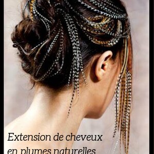 Puede incluir: Una mujer con cabello casta&ntilde;o tiene extensiones de cabello de plumas en su cabello. Las extensiones son negras, blancas y marrones. El texto en la imagen dice "Extension de cheveux en plumes naturelles Dur&eacute;e: 3 mois minimum R&eacute;siste aux shampoings, brossages,..."