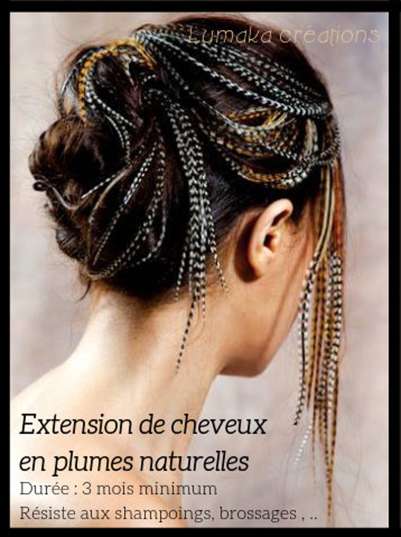Puede incluir: Una mujer con cabello casta&ntilde;o tiene extensiones de cabello de plumas en su cabello. Las extensiones son negras, blancas y marrones. El texto en la imagen dice "Extension de cheveux en plumes naturelles Dur&eacute;e: 3 mois minimum R&eacute;siste aux shampoings, brossages,..."